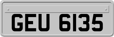 GEU6135