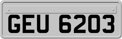 GEU6203