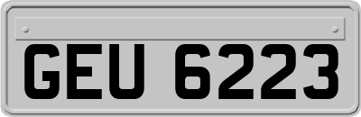 GEU6223