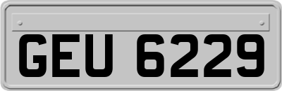 GEU6229