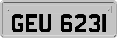 GEU6231