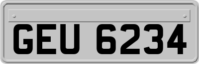 GEU6234