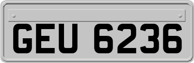 GEU6236