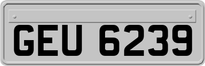 GEU6239