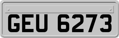 GEU6273