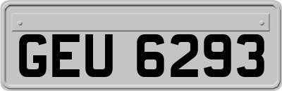 GEU6293