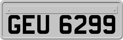 GEU6299