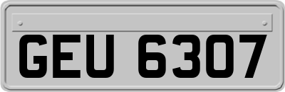 GEU6307