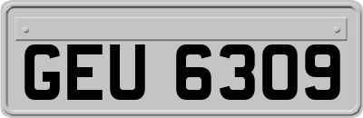 GEU6309