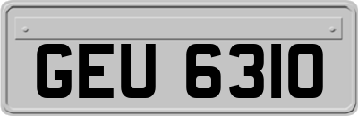 GEU6310