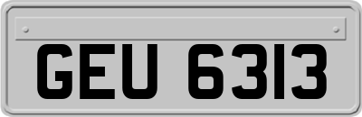 GEU6313