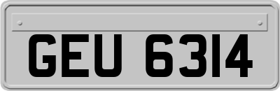GEU6314