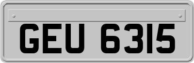 GEU6315