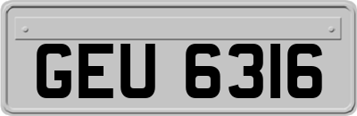 GEU6316