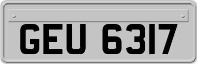 GEU6317