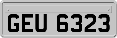 GEU6323
