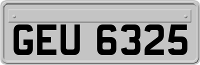 GEU6325