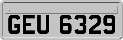 GEU6329