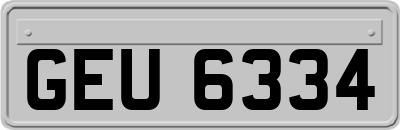 GEU6334