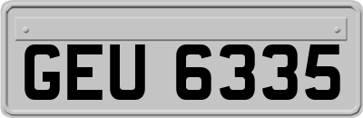 GEU6335