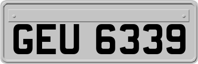 GEU6339