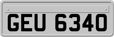 GEU6340