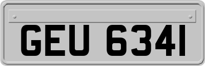 GEU6341