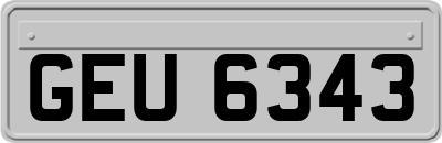 GEU6343