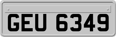 GEU6349