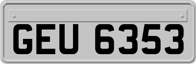 GEU6353