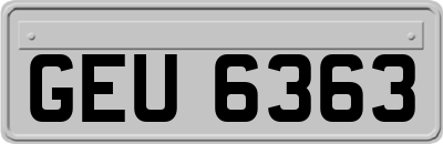 GEU6363