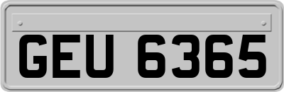 GEU6365