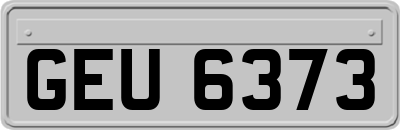 GEU6373