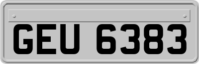GEU6383