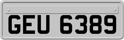 GEU6389