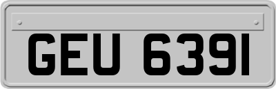 GEU6391