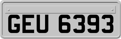GEU6393