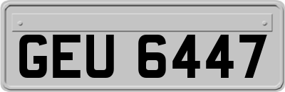 GEU6447