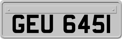 GEU6451
