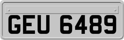 GEU6489