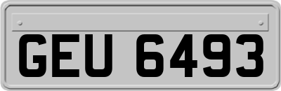 GEU6493