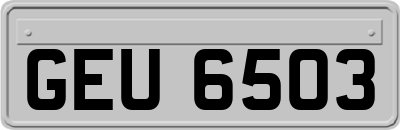 GEU6503