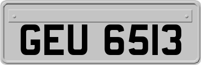 GEU6513