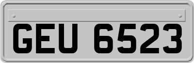 GEU6523