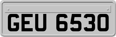 GEU6530