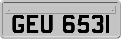 GEU6531