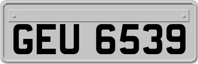 GEU6539