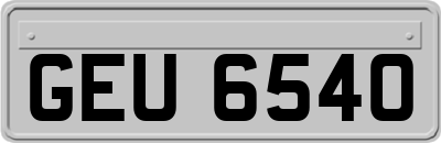 GEU6540