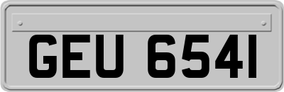 GEU6541