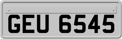 GEU6545